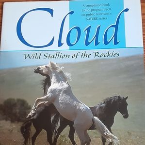 Cloud Wild Stallion Book